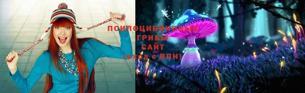 крисы Верея