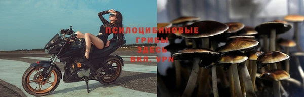 крисы Верея