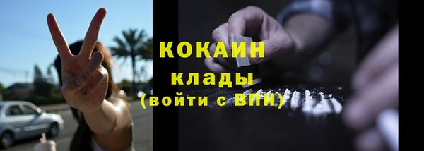 крисы Верея