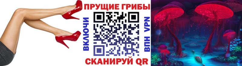 мега ТОР  Голицыно  Псилоцибиновые грибы ЛСД  где продают наркотики 